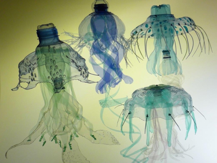 Medúzy, 2013